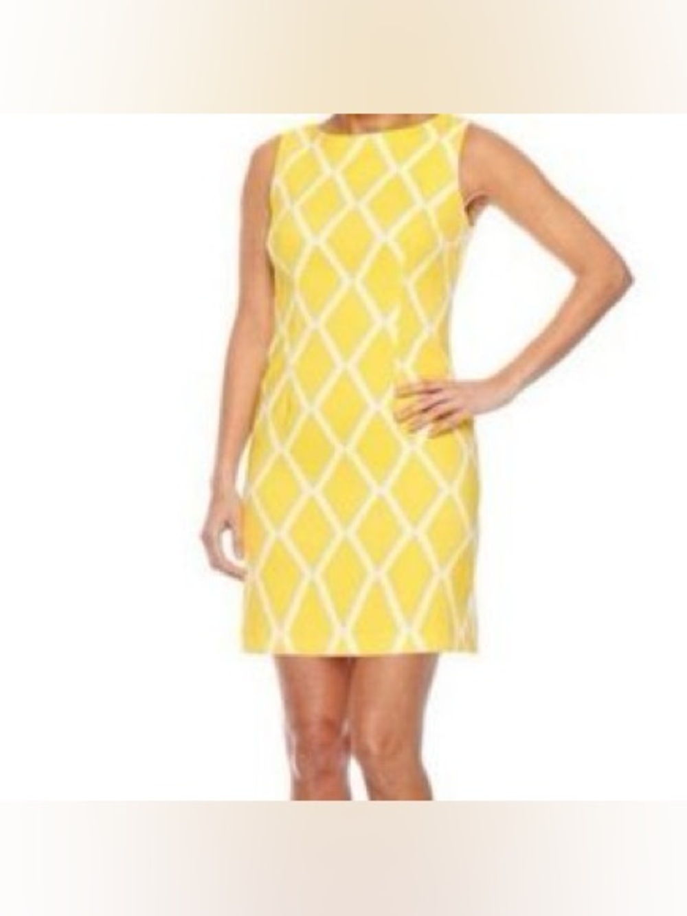 ALYX Petite Sleeveless Dress Size 14P